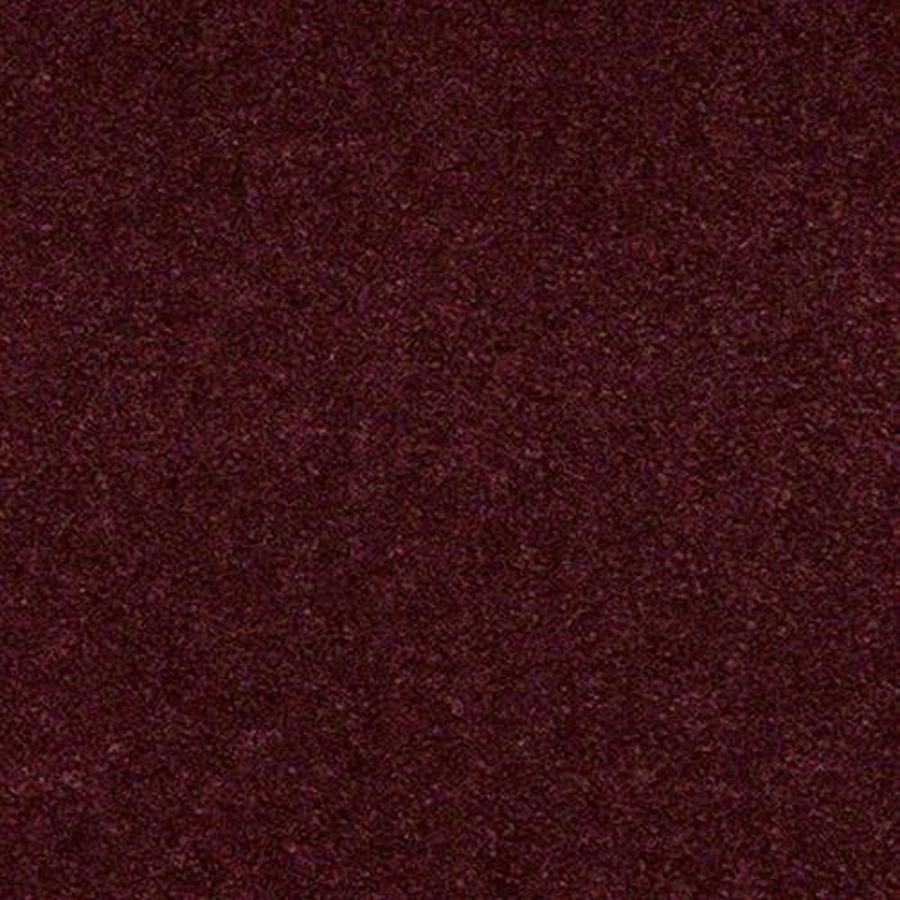 Seven Seas 12 Ft. 100% Continuous Filament Nylon 17.5 Oz. Carpet - Ruby Red